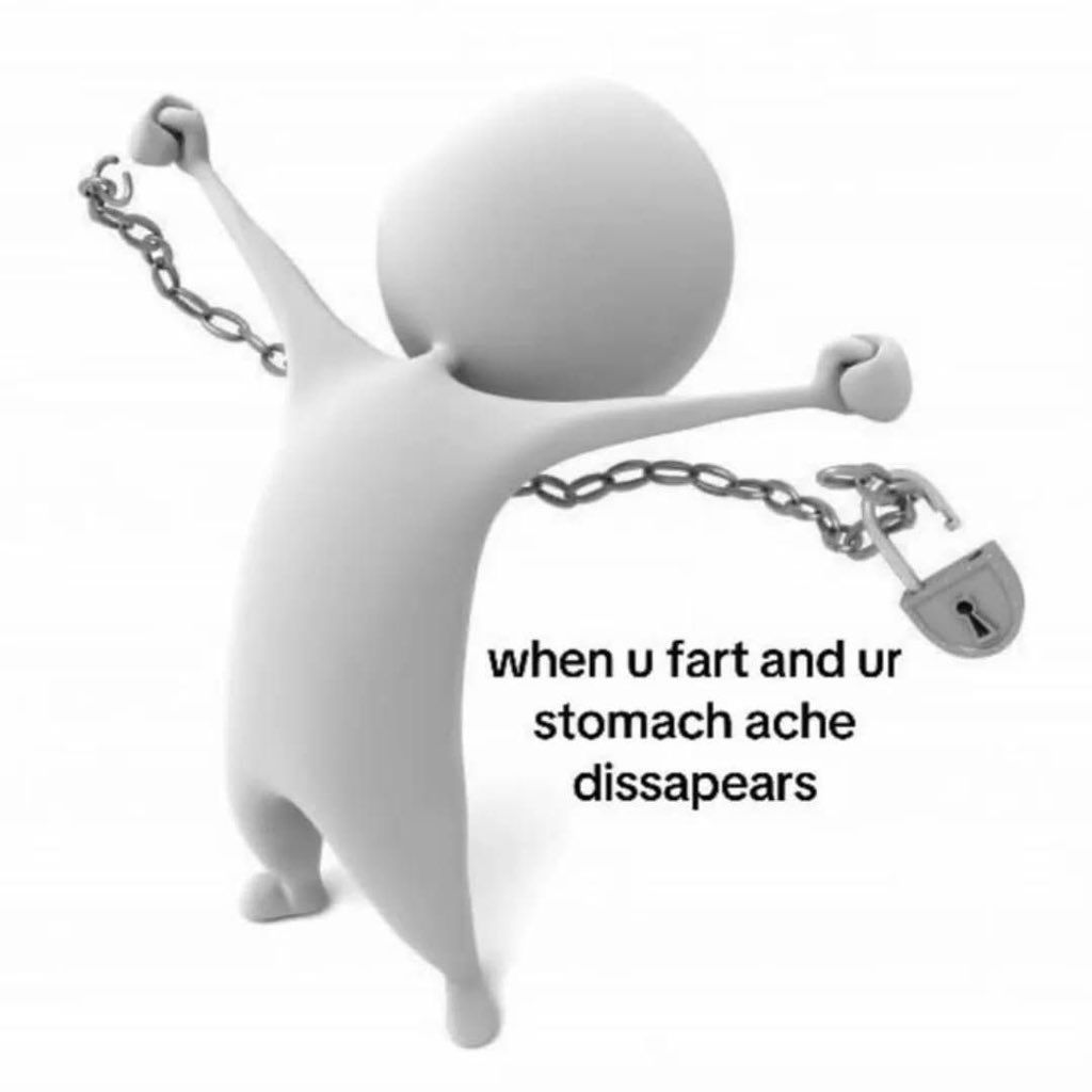 Meme: "when you fart and your stomach ache disappears"